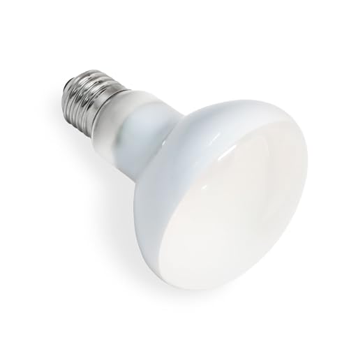 SCNNC Ampoule Chauffante Terrarium 75W UVA E27 R80 Basking Spot, AC 220V Lampe Chauffante Reptile Lumière du Jour, E27 Ampoule Chauffante pour Reptile et Amphibien, Tortues, Lézards, 1 Pièce HL0075