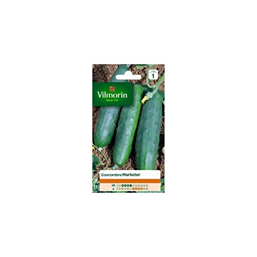 Vilmorin - Sachet graines Concombre Marketer