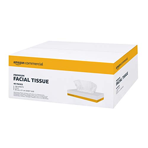 AmazonCommercial Mouchoirs en Papier, 2 Epaisseurs Premium, 4000 Feuilles (40 paquets de 100), Taille des Feuilles: 20 cm x 21 cm