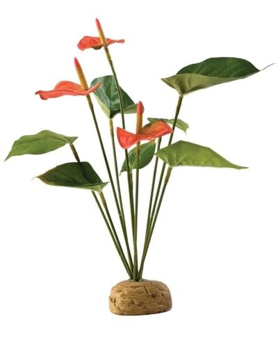 Exoterra Plante de Décoration pour Reptile Anthurium