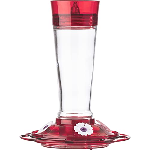 More Birds More Birds Mangeoire pour Colibri Rubis avec Bouteille en Verre, 5 Ports d'alimentation, capacité de 283,5 g, Rouge Rubis