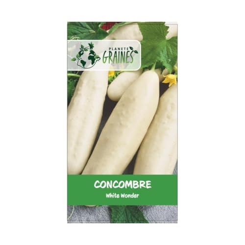 20 Graines de Concombre 'Mezzo Bianco' - Concombre Blanc d'Italie, Variété Croquante et Facile à Cultiver