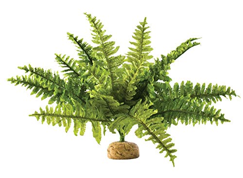 Exoterra Plante de Décoration pour Reptile Fougère de Boston