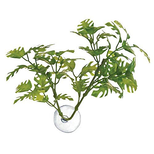 Zoo Med Betta Plante Window Leaf pour Reptile/Amphibien Multicolore 26311 Taille Unique
