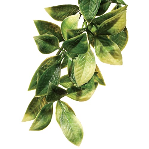 Exoterra Décoration Croton Plante Plastique Grand Modèle pour Reptiles et Amphibiens