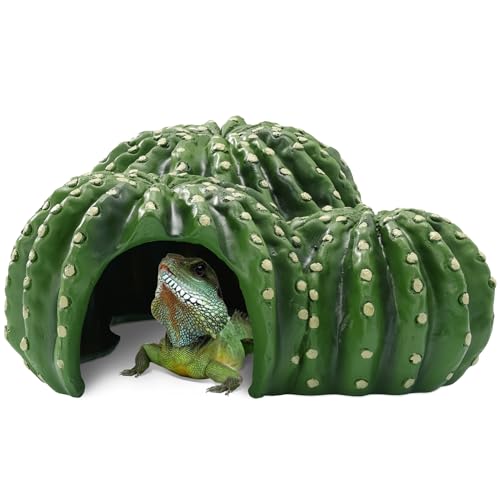 Navaris Cachette pour Reptile et amphibien - Abri pour Tortue lézard Serpent en Forme de Cactus 22,5 x 22 x 10 cm en polyrésine - Maison Terrarium avec Ouverture 6,8 cm