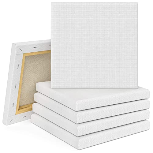 Tebery Akademie Lot de 10 châssis entoilés 100 % coton Blanc 20 x 20 cm