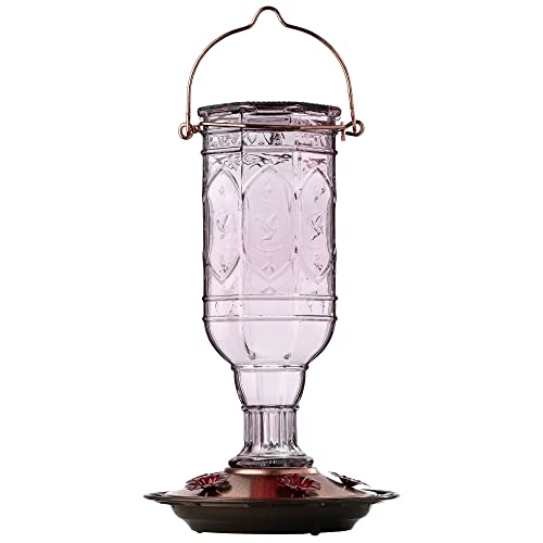 More Birds Mangeoire en Forme de Colibri en améthyste avec Bouteille en Verre, 5 Ports d'alimentation et capacité de Nectar de 590 ML