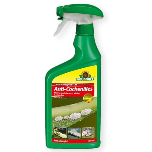 Neudorff Anti Cochenilles Élimine Œufs, Larves et Adultes 750ml | Prêt à L'emploi Action Choc | Insecticide Spruzit AF