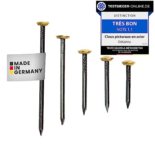 RIKAMA® Lot de 50 clous en mélange de 10 x 20 mm, 25 mm, 30 mm, 40 mm, 50 mm – Clous en acier avec tête en laiton de 6 mm pour accrocher sur le, la brique, le plâtre et le bois – Fabriqué en Allemagne