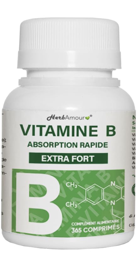 VITAMINE B EXTRA FORTE | 365 Comprimés (Stock Pour 12 Mois) | Complexe de Vitamine B Avec Vitamine B1, B2, B3, B5, B6, B12, Avec Biotine, Acide Folique Et Vitamine B12