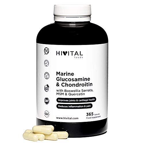 Glucosamine avec Chondroïtine. 365 gélules. Avec MSM, Boswellia Serrata et Quercétine. Anti-inflammatoire naturel qui réduit les douleurs, les inflammations articulaires, renforce les os et cartilages