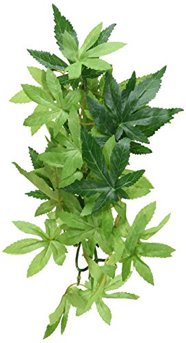 Exoterra Décoration Ficus Plante Moyen Modèle pour Reptiles et Amphibiens