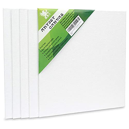 H&S Toile Blanche pour Peinture Acrylique ou Huile - Lot de 5 - Toiles à Peindre avec Chassis en Bois de Pin - Tableau Vierge a Peindre - Format 20cm x 20cm