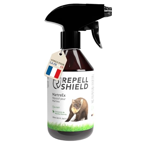 RepellShield® Répulsif Anti Fouine et Anti Martre Voiture -250ml- Menthe Poivrée - Non Tachant - Usage Intérieur & Extérieur - Anti Rongeur Voiture, Grenier, Jardin - Éloigne les Animaux Nuisibles