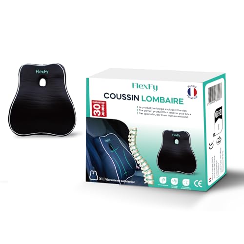 Coussin Lombaire Ergonomique épais en Mousse à Mémoire de Forme - Bon Maintien du Dos pour soulager la Posture & Douleur Lombaire - pour Siège de Bureau, canapé- Voiture- siège Gaming -Housse Lavable