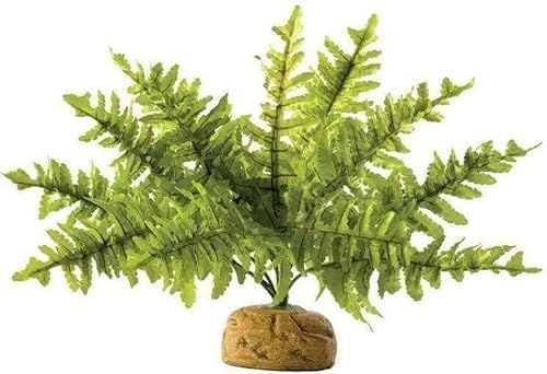 Exoterra Plante de Décoration pour Reptile Fougère de Boston S