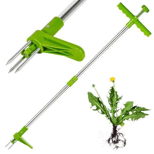 Kinzo GEEZY Désherbeur de Mauvaises Herbes en Acier - Outil de Jardinage à Main, Vert