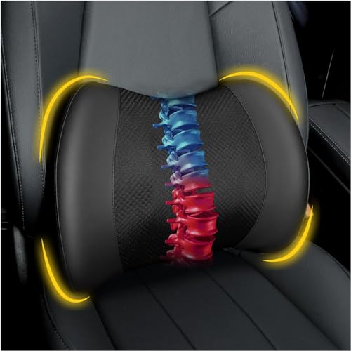 Lofty Aim Coussin de soutien lombaire : coussin lombaire en mousse à mémoire de forme pour soulager la douleur dans le bas du dos - Coussin de dossier de voiture pour la conduite - Soutien lombaire