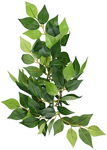 Exoterra Décoration Ruscus Plante Petit Modèle pour Reptiles et Amphibiens