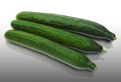 25 graines à semer - Le Grenier d'Abondance - CONCOMBRE Long Anglais - Cucumis sativus
