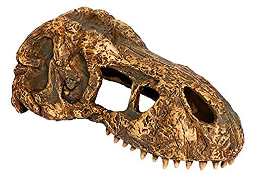 Exoterra T-Rex Skull Décoration pour Reptile/Amphibien Taille S