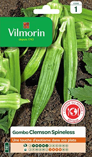 Vilmorin - Gombo Clems spineless - Saveur Venue d'Afrique Proche de l'aubergine- légume ou Condiment - Forme Pointue et hexagonale