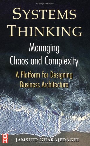 Systems Thinking: Managing Chaos and Complexity : A Platform for Designing Business Architecture