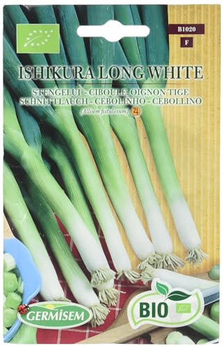 Germisem Bio Graines Ciboule, oignon tige ISHIKURA LONG WHITE