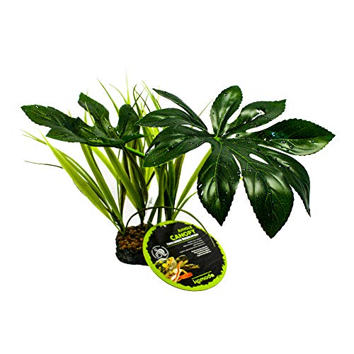 Komodo Plante tropicale artificielle