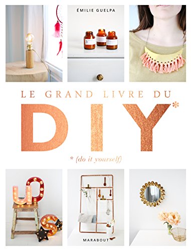 Le grand livre des DIY* *(Do it yourself): La bible de toutes les techniques