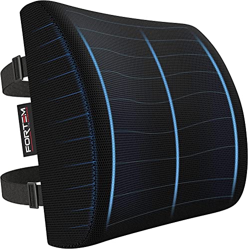 FORTEM Coussin De Soutien Lombaire, Support Ergonomique Maintien du Dos en Mousse À Mémoire De Forme, Corrige La Posture, pour Voiture Bureau Chaise Fauteuil, Housse Lavable (Noir)
