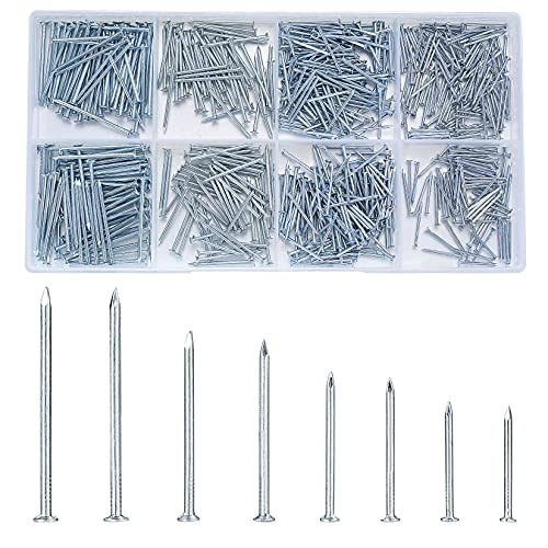 720 Pièces Assortiment de Clous, Clous Muraux en Béton, Pointes et Cclous d’Accrochage pour Accrocher Images Travail du Bois