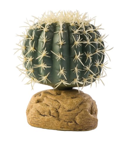 Exoterra Décoration Cactus Oursin pour Reptiles et Amphibiens