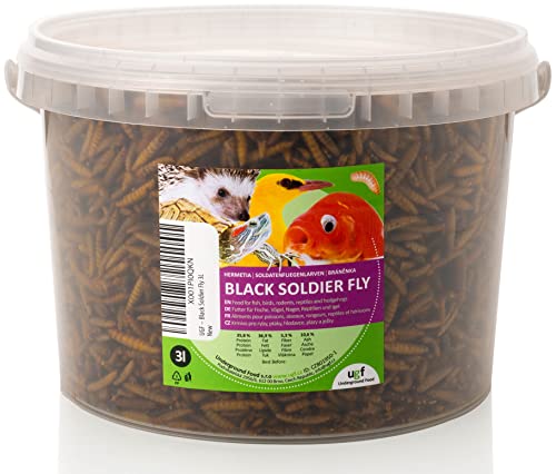 UGF - Hermetia Mieux Que Les vers de Farine séchés (3 litres - 430g) - 85 Fois Plus de Calcium - Friandises BSFL pour Oiseaux Sauvages, Tortues, Rats, hérissons, Hamsters - Larves de Soldat séchées