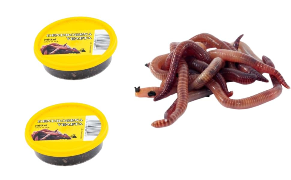 Reptiles, Oiseaux, Dendrobena, Vers Rouges de Taille Moyenne - 50 Pièces, 2 Boîtes de Nourriture Vivante - Appâts de Pêche, Nourriture pour Animaux de Compagnie et Reptiles
