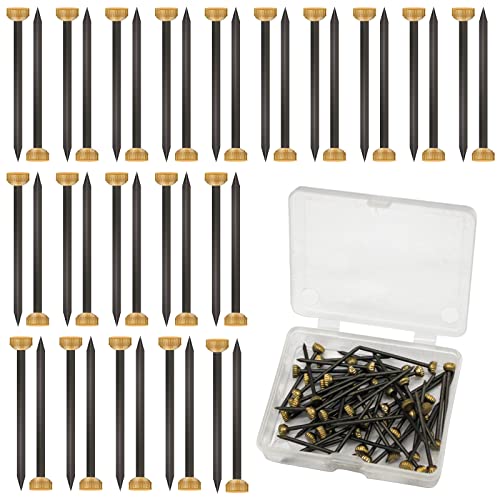 BLMHTWO Lot de 50 clous de suspension de photos avec tête en laiton de 4 mm pour accrocher des photos avec boîte de rangement en plastique noir et jaune - Petits clous pour cadre, murs, clôtures en