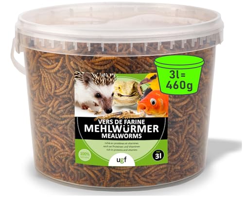 UGF – Les vers de Farine Premium, Seau de 3 litres - 460g, Collation d’Insectes pour Oiseaux Sauvages, Hamsters, Hérissons, Rats, Lézards, Tortues – sans Conservateurs et Colorants Artificiels