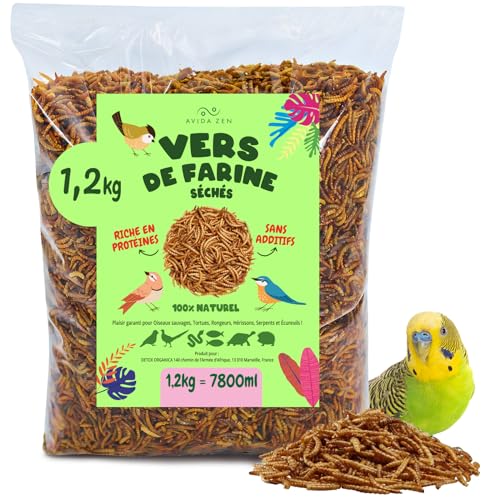 vers de Farine Séchés 1,2 kg - 7.800ml de Friandises - Aliment Naturel Riche en Protéines pour Poissons, Oiseaux, Tortues, Hérissons, Rongeurs et Reptiles - Nourriture Animale Séchée