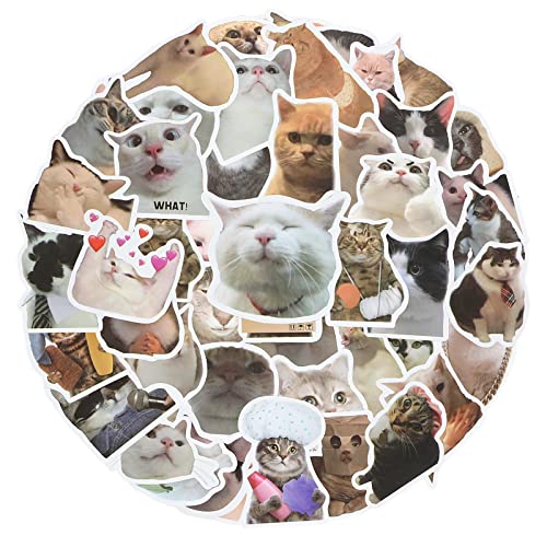 cobee Lot de 50 autocollants amusants en vinyle imperméable pour les amoureux des chats, bouteille d'eau, scrapbooking, téléphone (forme de chat)