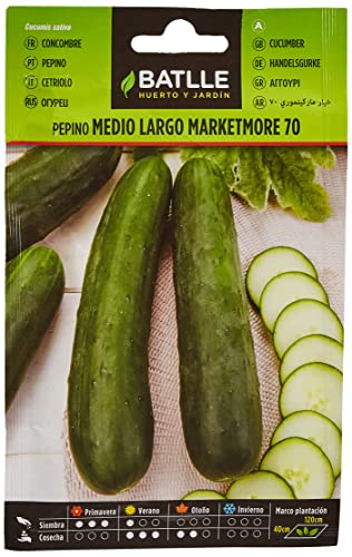 Semillas Batlle – Concombre Marketmore 70, Long, Moyen