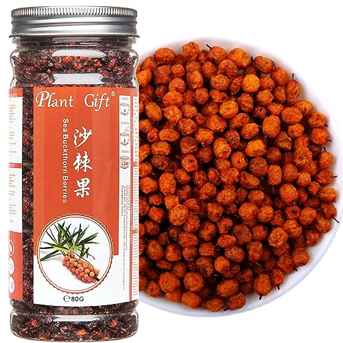 PlantGift Baies d'argousier séchées 80 g Baies entières séchées extrêmement doucement, sans additifs, haute teneur en B12, fruits secs biologiques