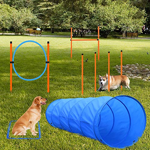 Boîtes Métalliques Pour Dressage Olfactif Chien - Lot De 5 - Aluminium Avec Trous à Odeur - Pour Jeux De Reniflement